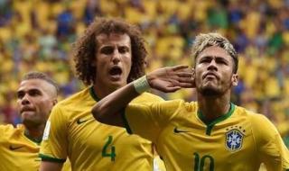 巴西队历届世界杯阵容 巴西队历届世界杯阵容